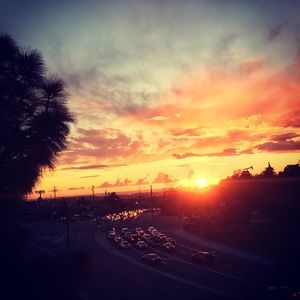 Meet your Posher, Maya